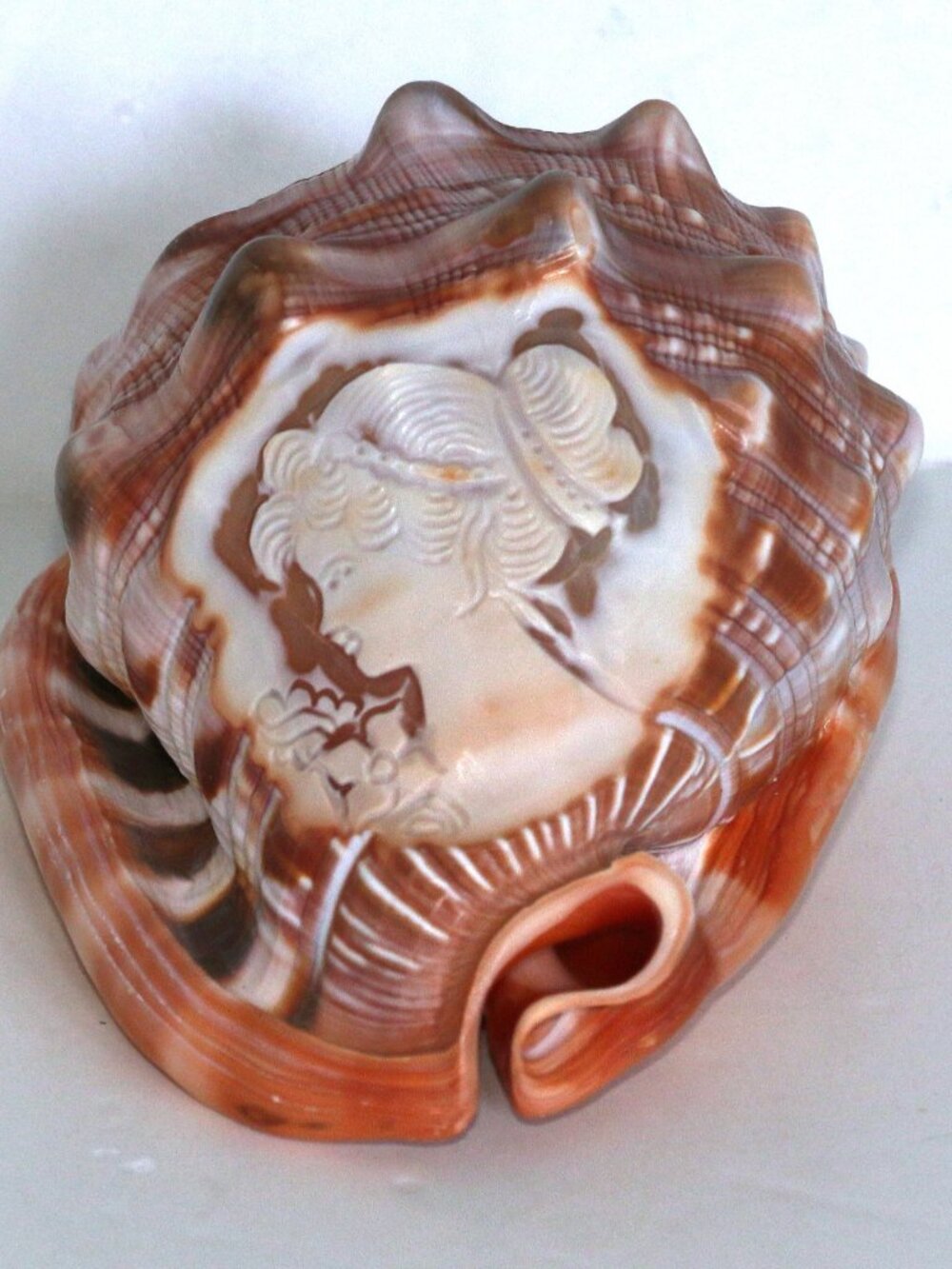 Conch Cameo with hand carved Lady - Picture 4 of 7